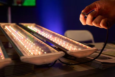 LED Lighting Explore the Basics of Types, Uses, and Advantages