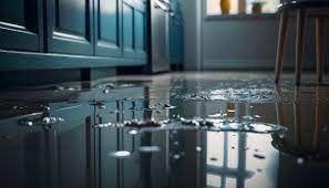 Water Damage in Homes Explained: Key Facts, Knowledge, and Step-by-Step Solutions