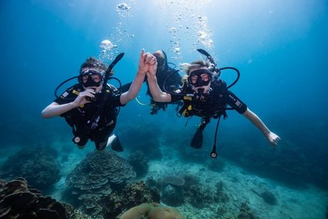 Discover Scuba Diving: An Overview with Facts and Knowledge